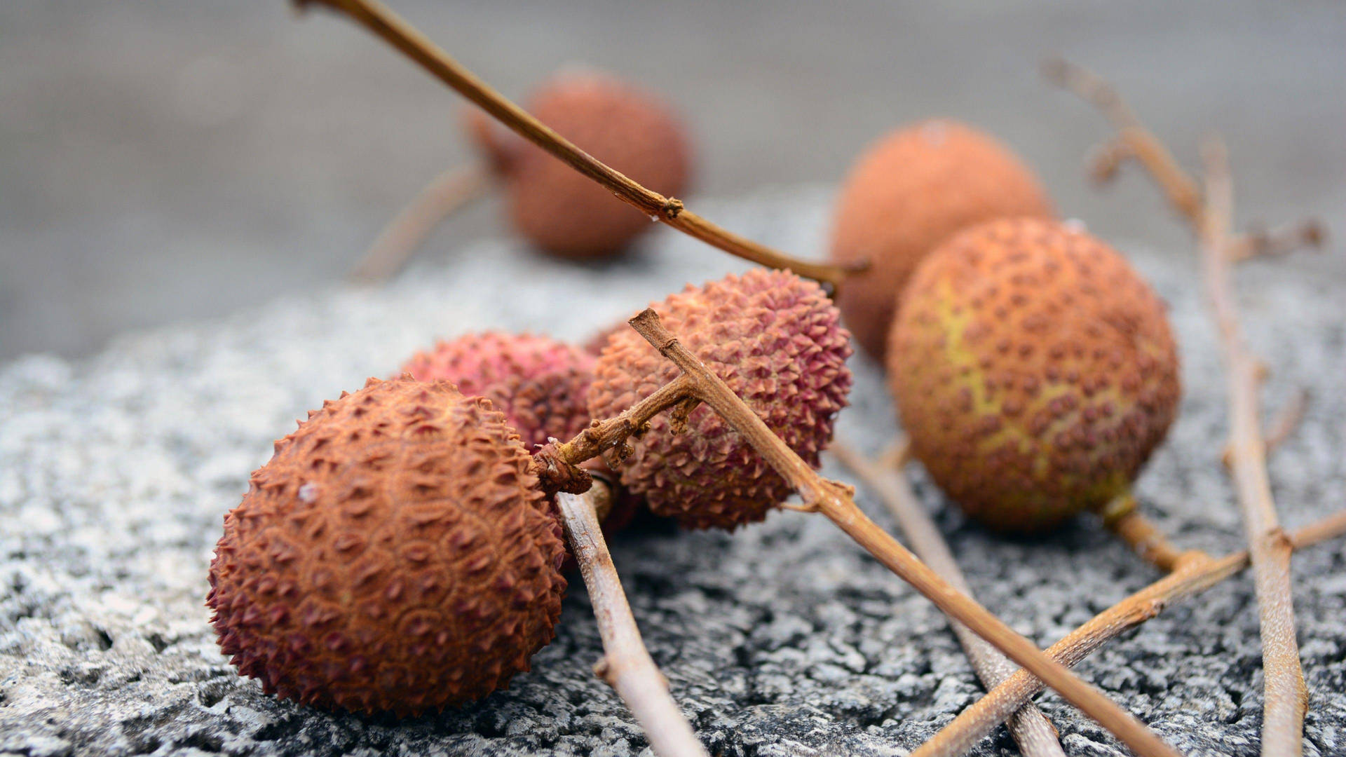 Dried Brown Litchis Wallpaper
