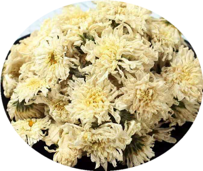 Dried Chrysanthemum Flowers Top View PNG