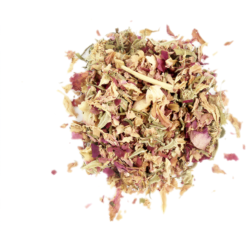 Dried Chrysanthemum Flowers Top View PNG