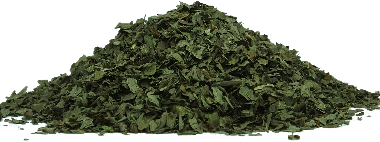 Dried Crushed Green Leaves Texture PNG
