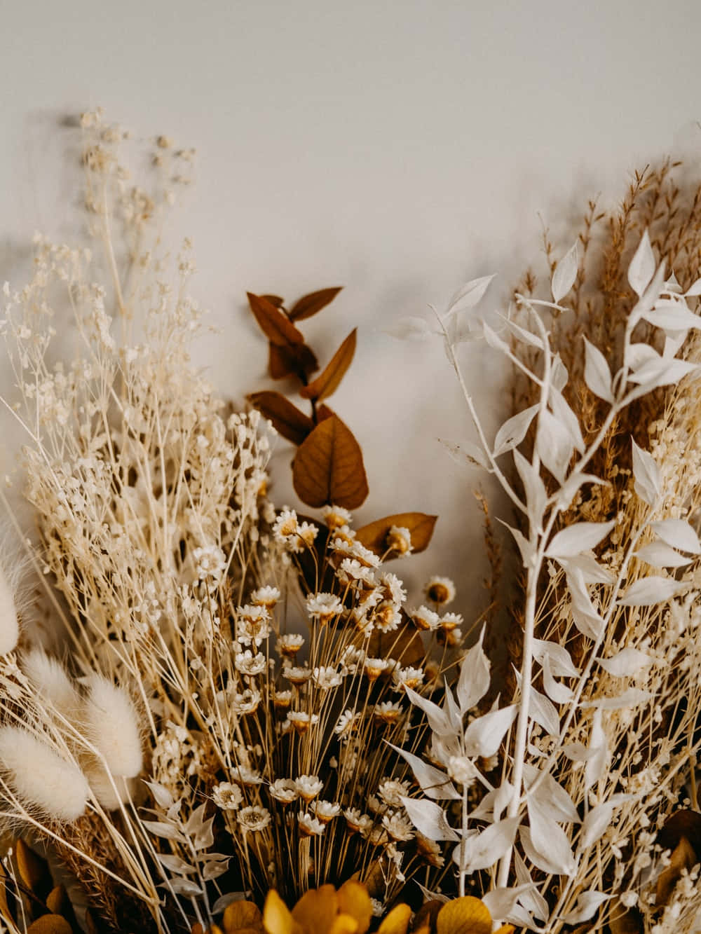 Aesthetic Arrangement of Dried Flowers in a Vase Wallpaper