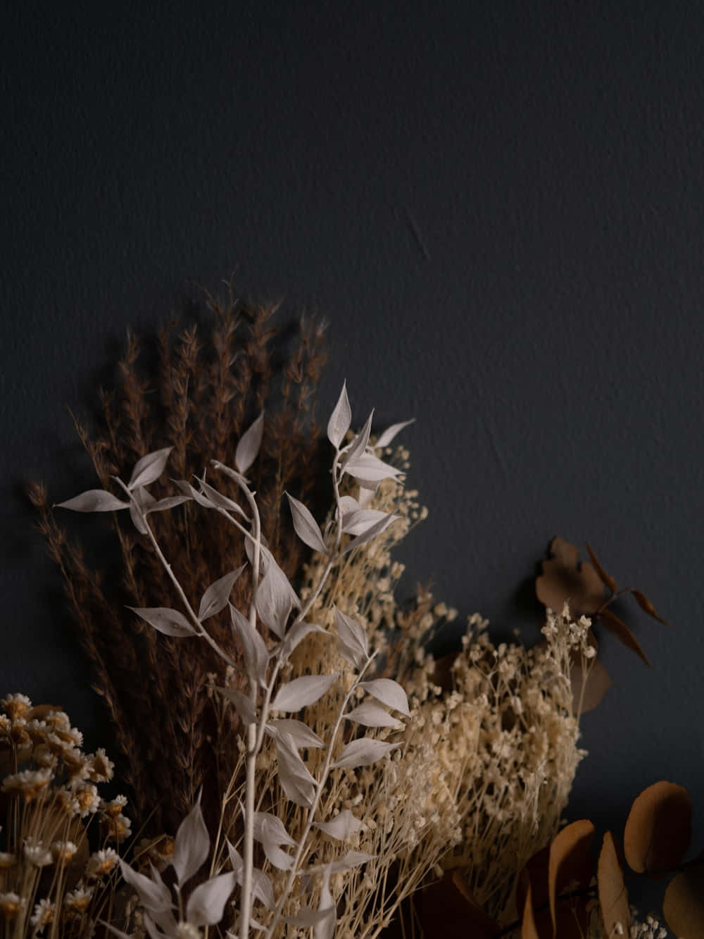 Beautiful Display of Various Dried Flowers Wallpaper