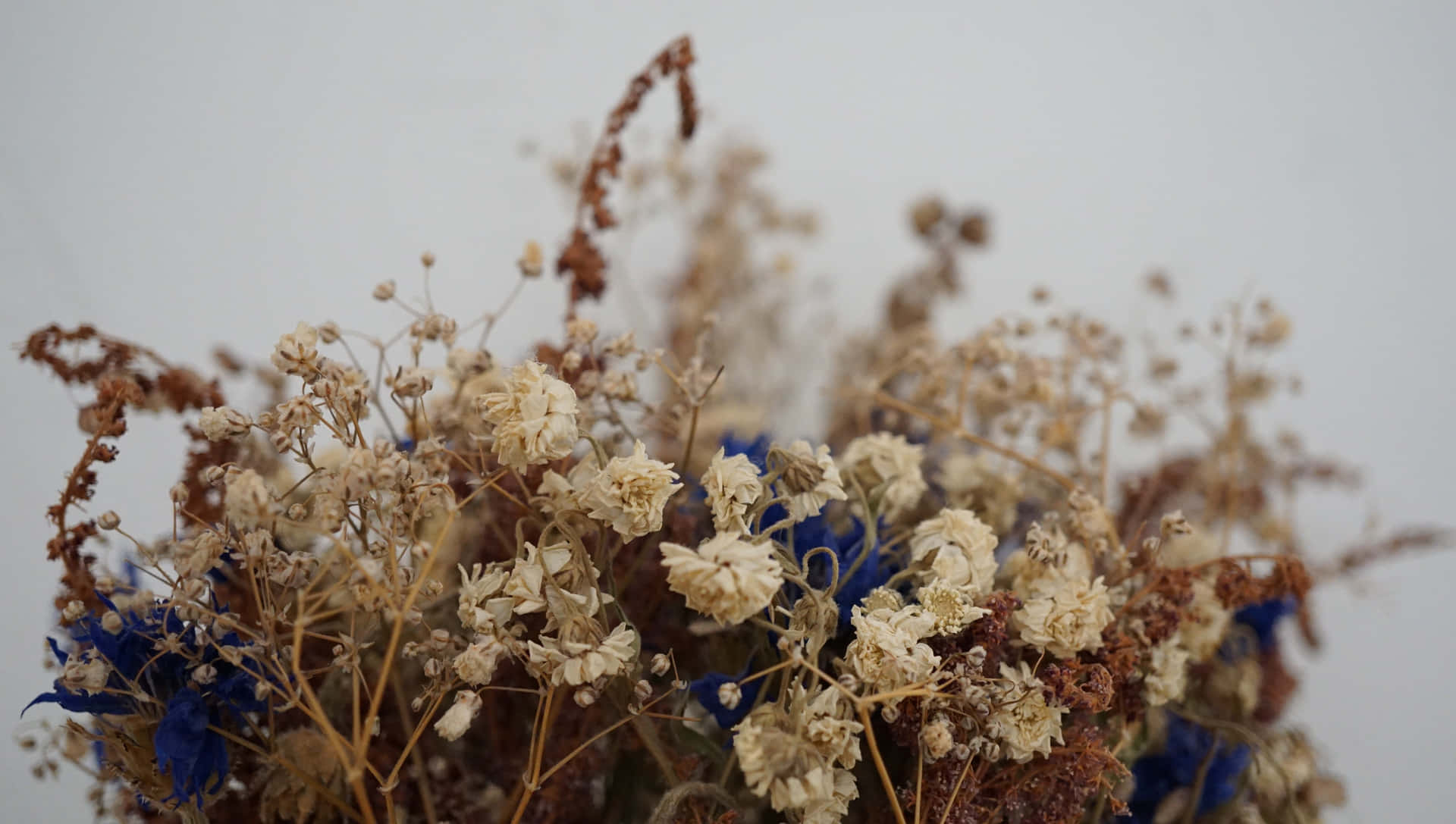 A beautiful assortment of dried flowers on a wooden surface Wallpaper