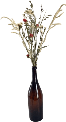 Dried Flowersin Brown Bottle Vase PNG