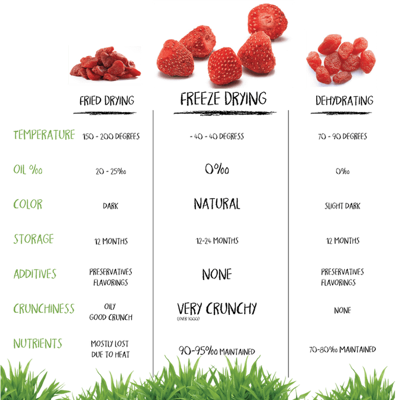 Dried Fruit Comparison Chart PNG