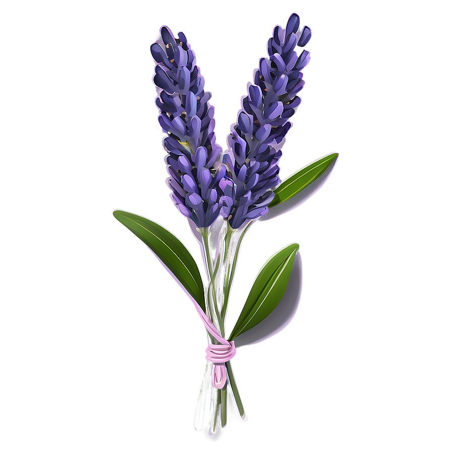 Dried Lavender Bunch Png Dre PNG