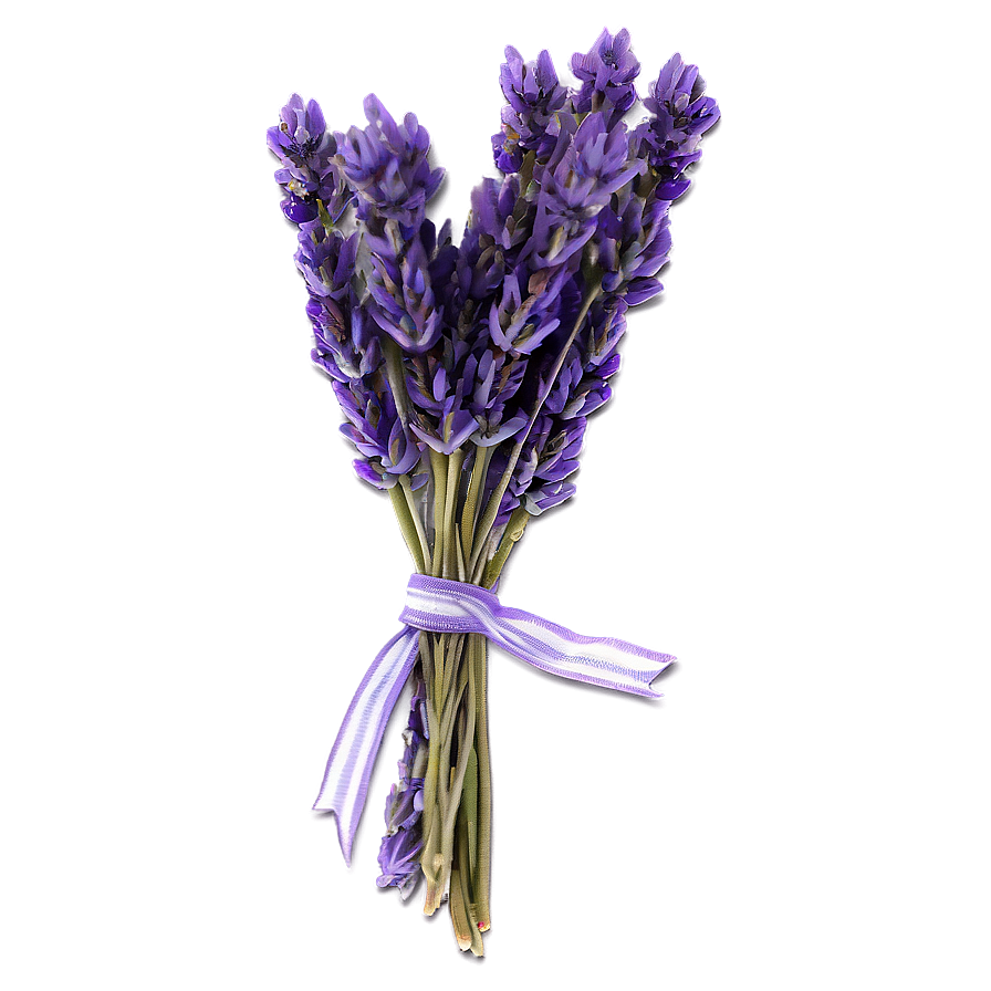 Dried Lavender Bunch Png Gac PNG