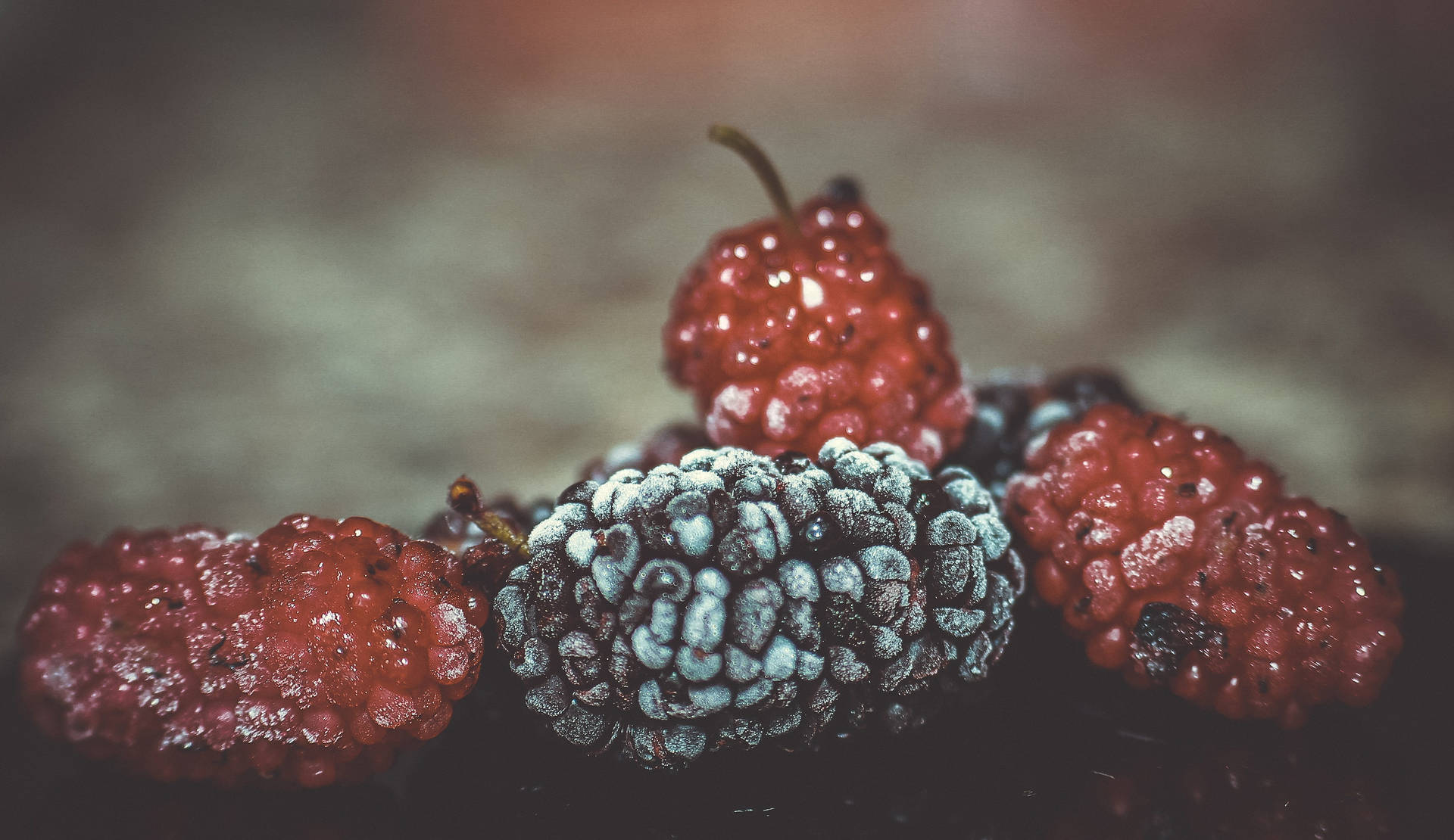 Dried Red And Purple Mulberry Fruits Wallpaper