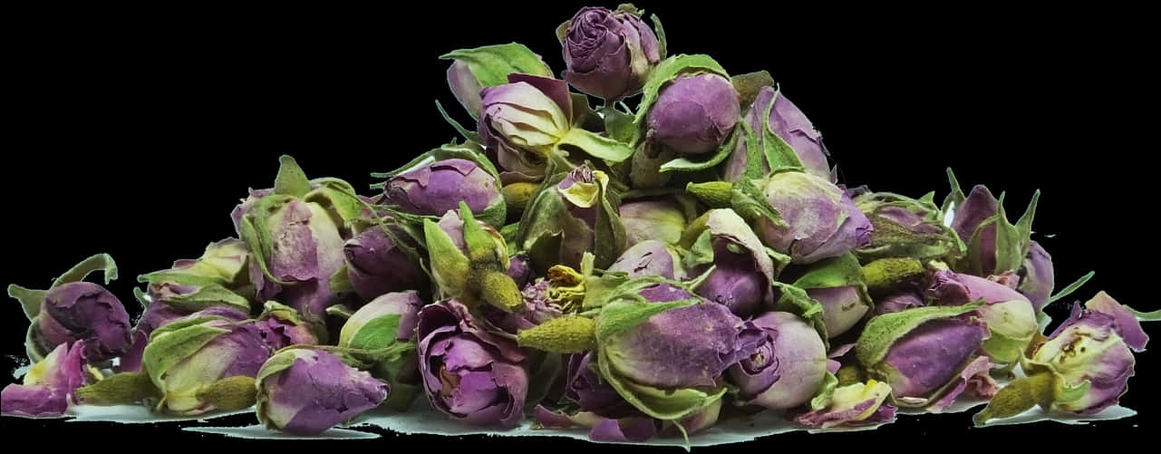 Dried Rose Buds Black Background PNG