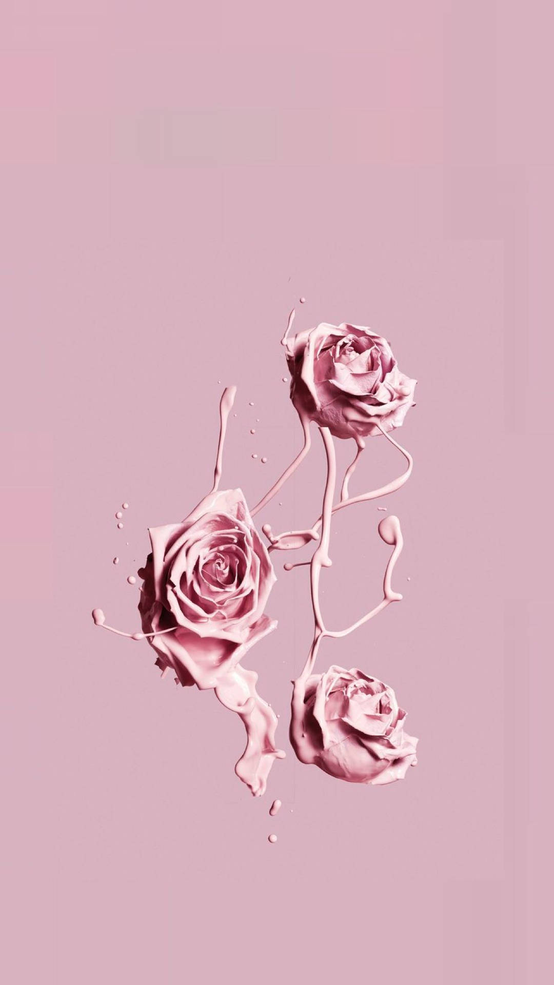 Dripping Rose Plain Pink Wallpaper