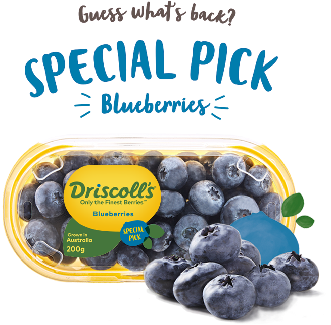 Driscolls Special Pick Blueberries Packaging PNG
