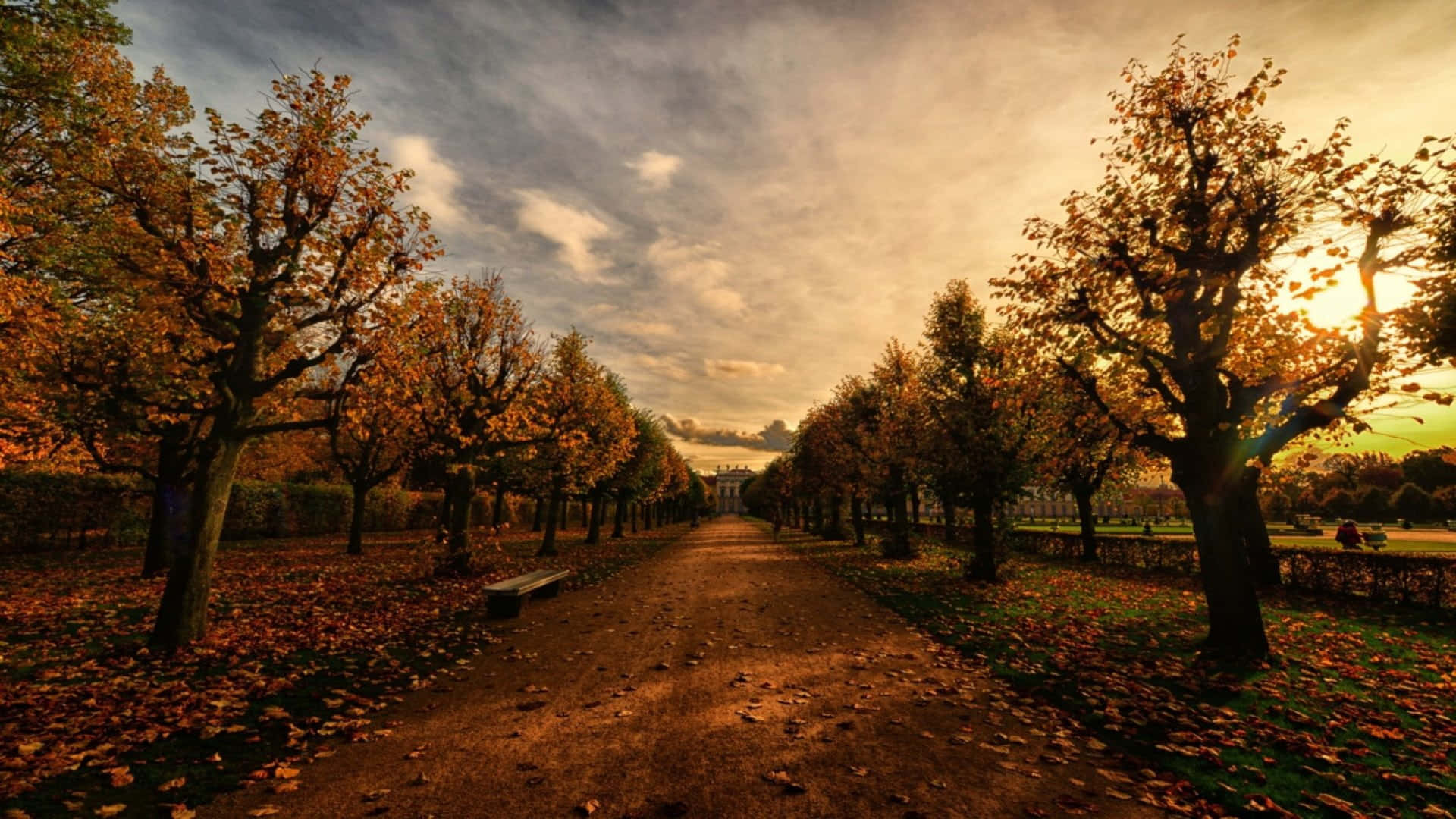 A Path Lined With Trees In The Autumn