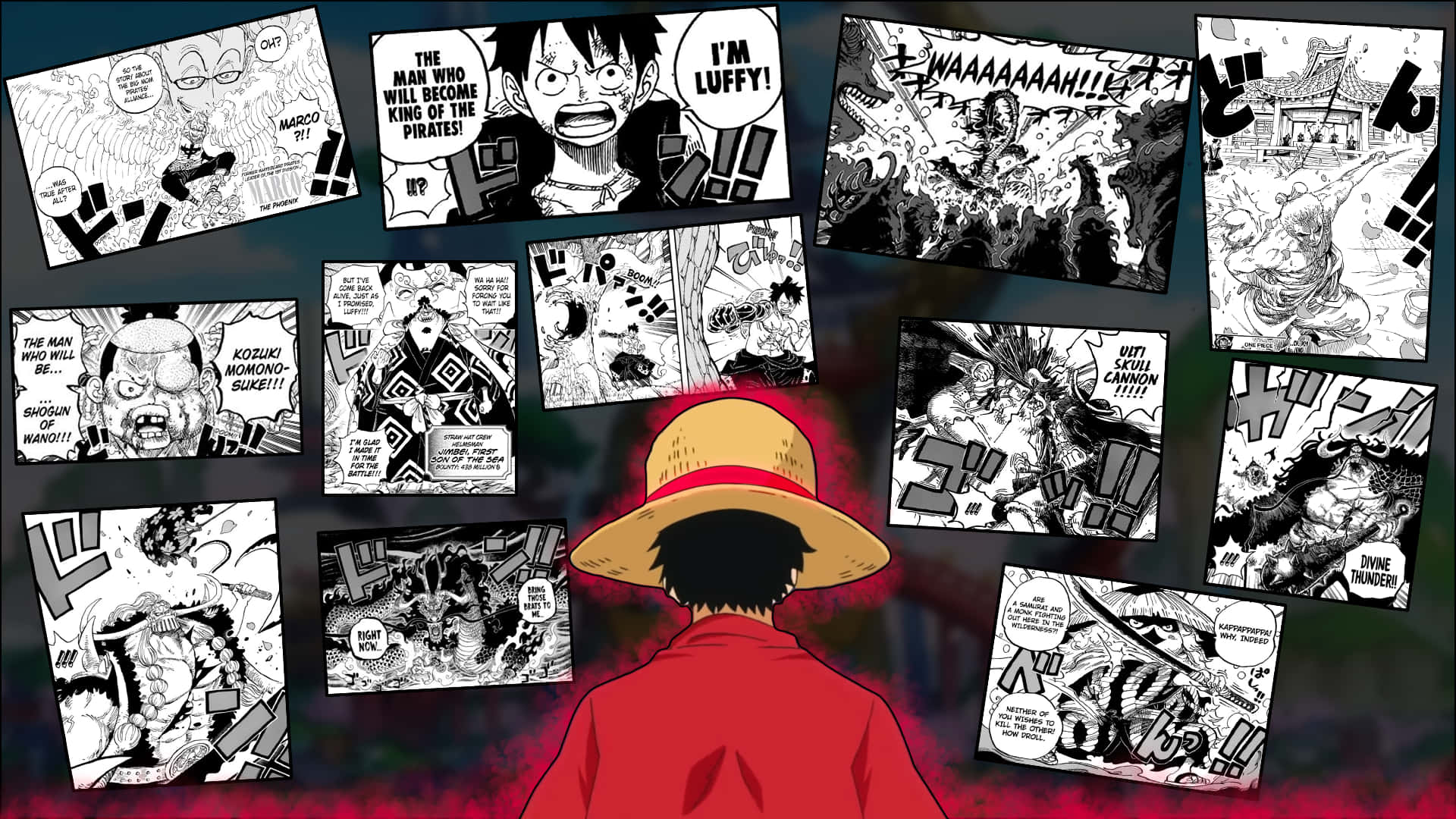 Droll One Piece Wallpaper