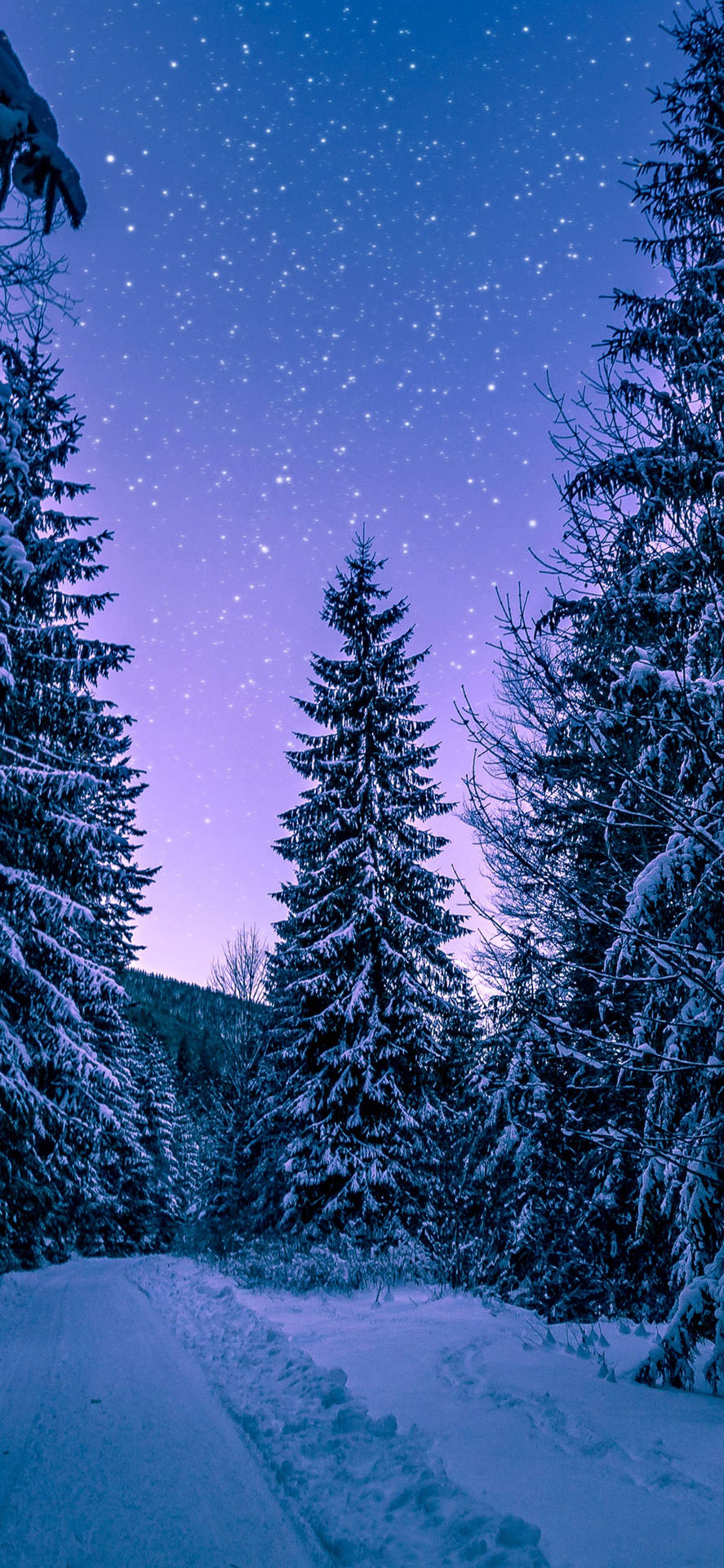Drømmende Vinter Skov Iphone Wallpaper