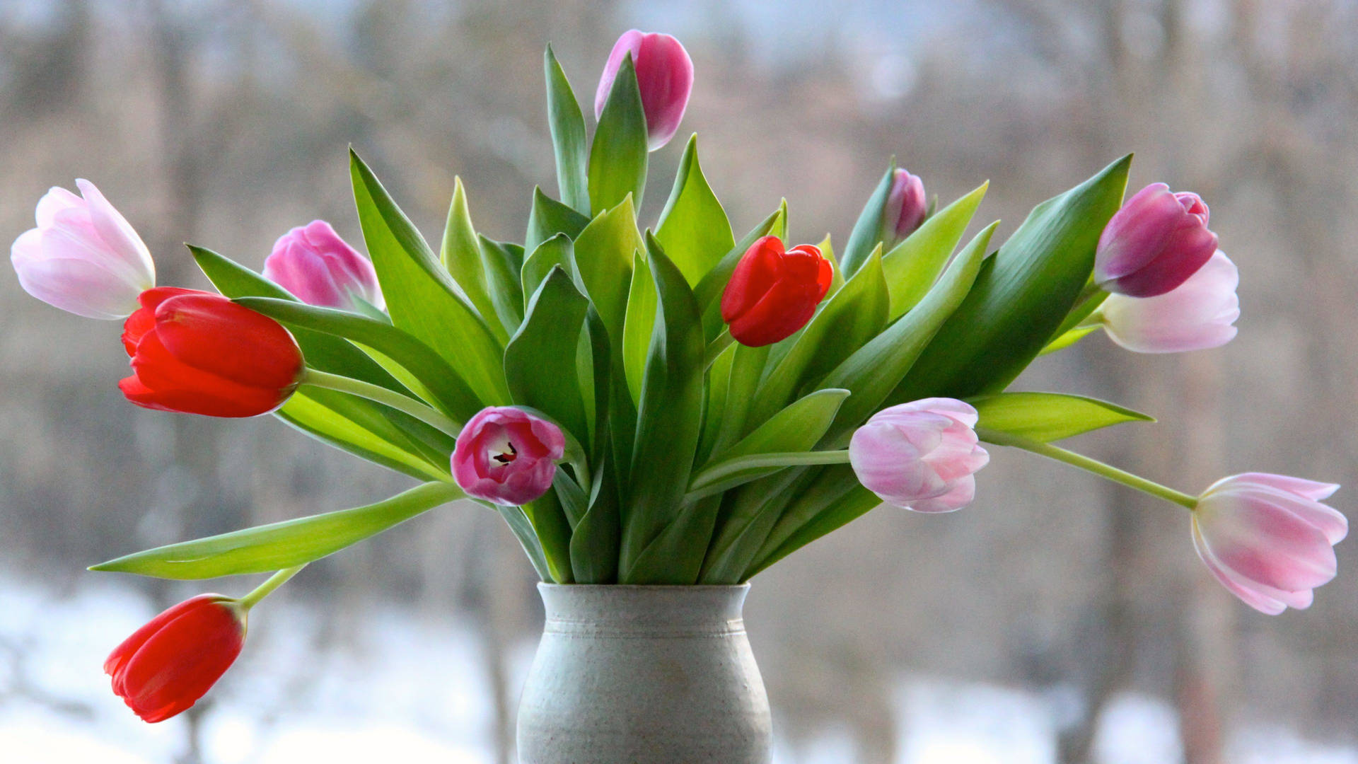 Titoloeleganti Tulipani Cascanti In Un Vaso Da Fiori Sfondo