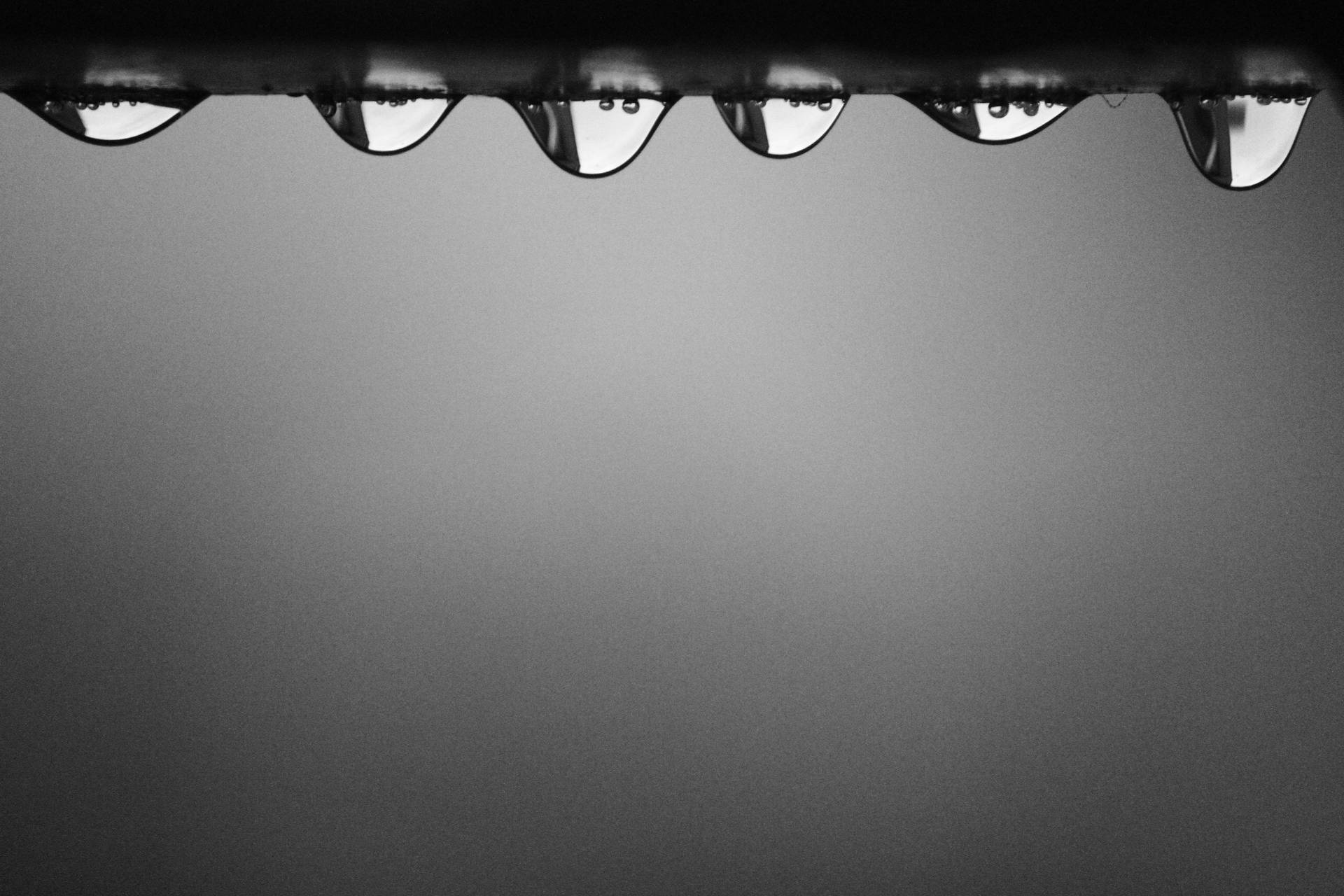 Droplets Black Art Photography