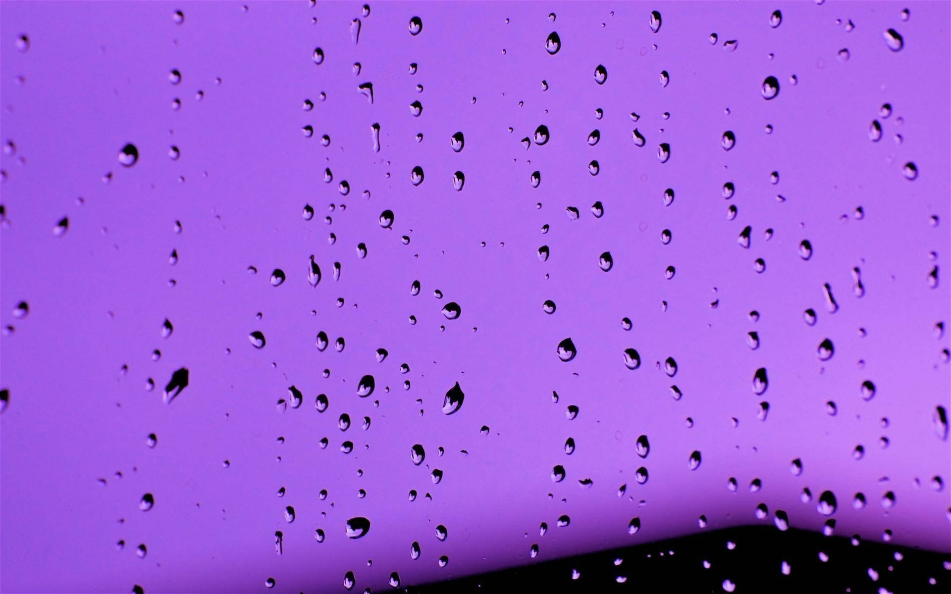 Droplets On Window With Light Purple Grading Background