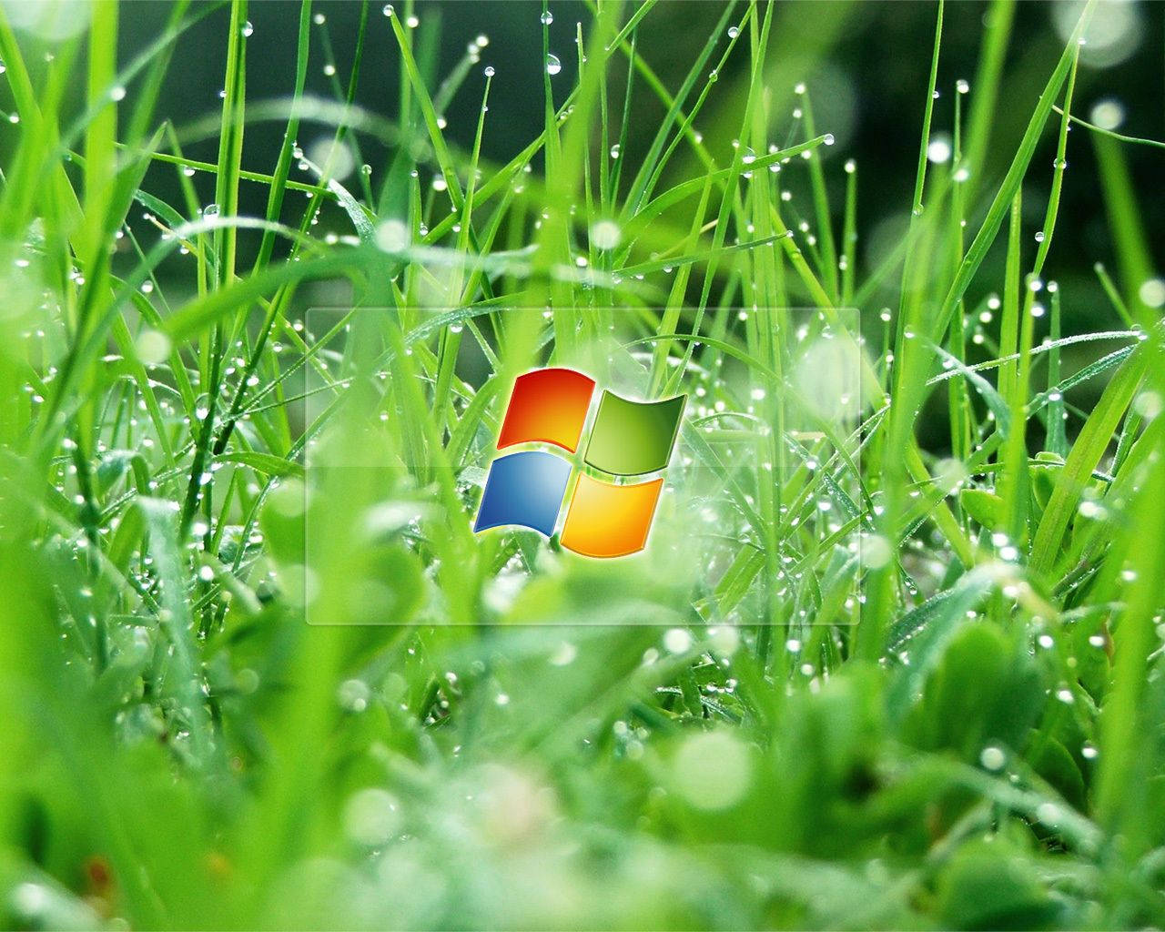 Droplets Windows Vista Wallpaper