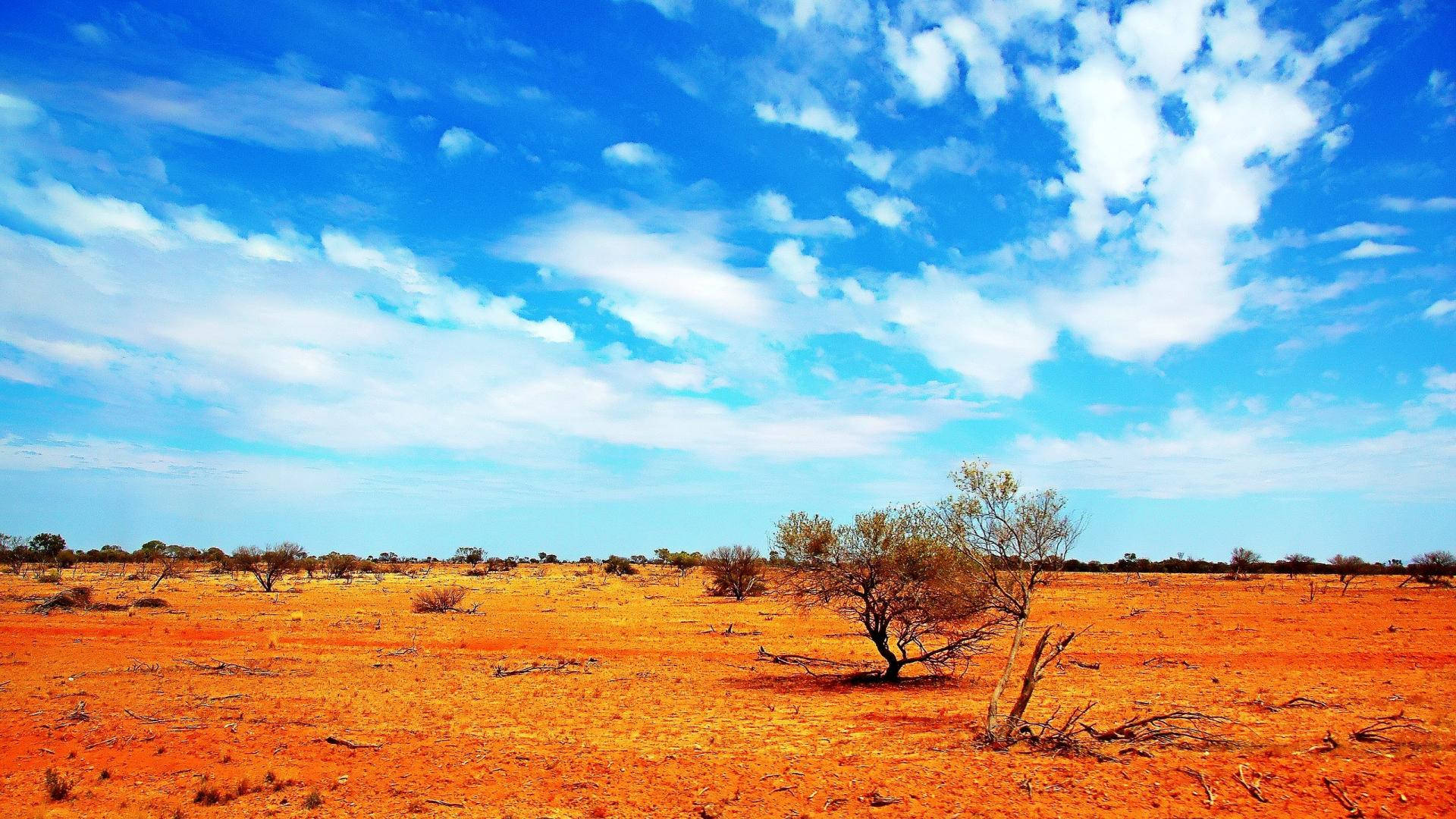 Dry Australian Outback Area Wallpaper