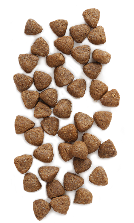 Dry Dog Food Kibble Texture PNG