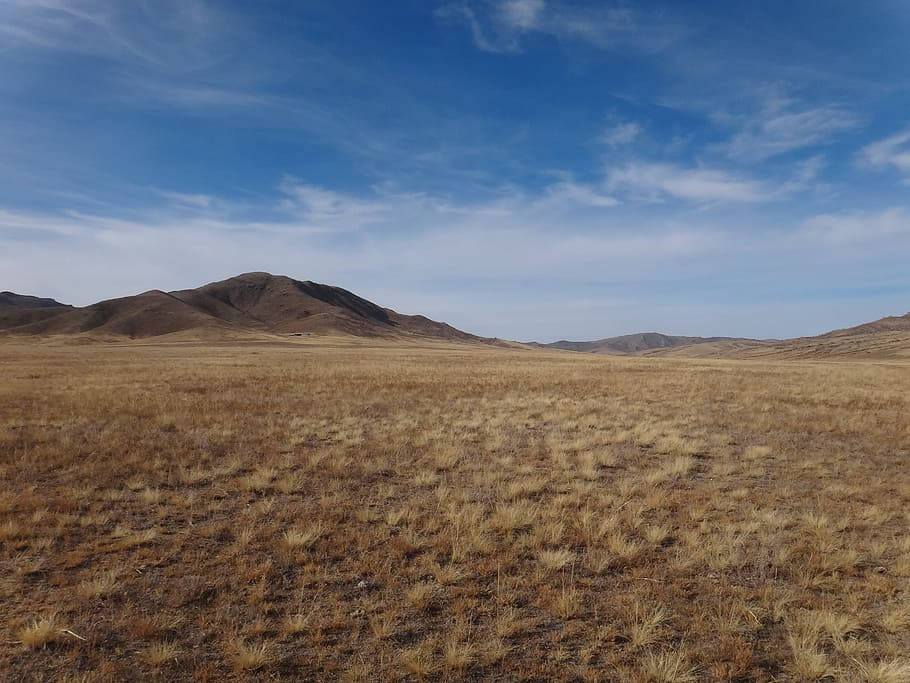 Dry Grasslands Of The Mongolias Wallpaper