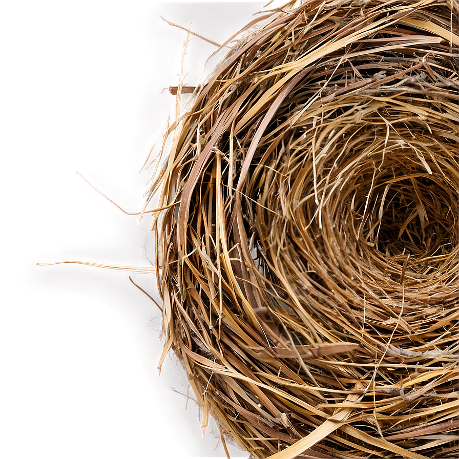 Dry Hay Texture Png Iep1 PNG