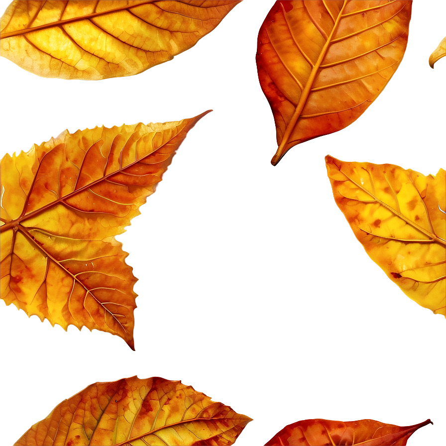 Dry Leaf Png 30 PNG