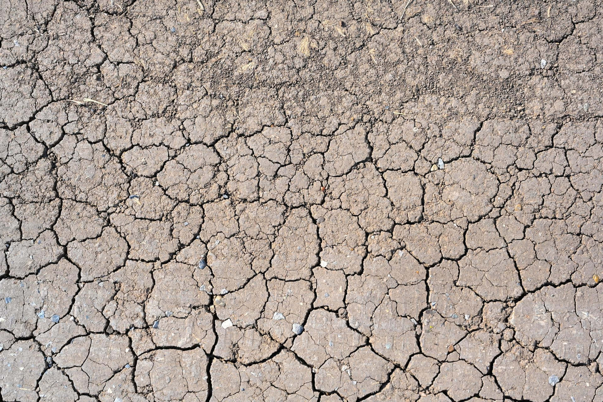 Dry Mud Cracked Ground Texture Drought Wallpaper
