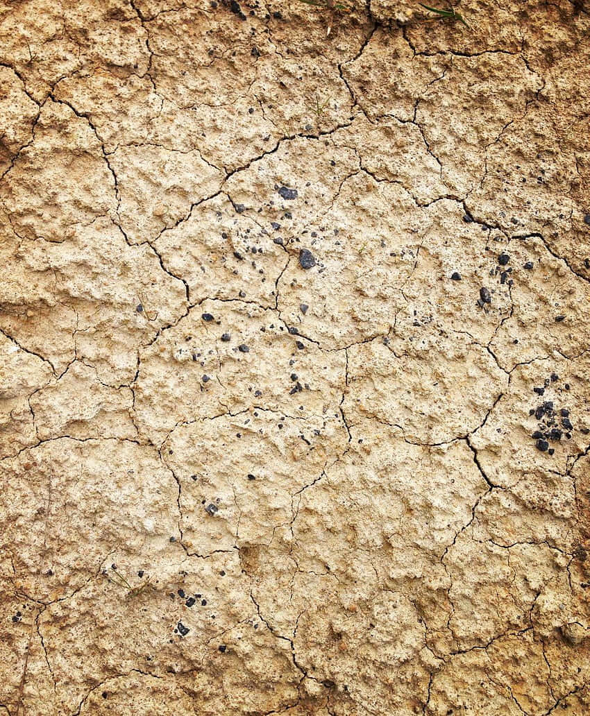 Dry Mud Texture Soil Wall Wallpaper