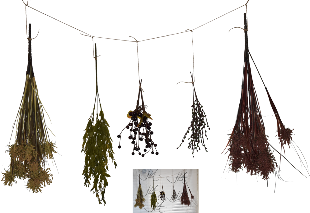 Drying Herbs Collection PNG