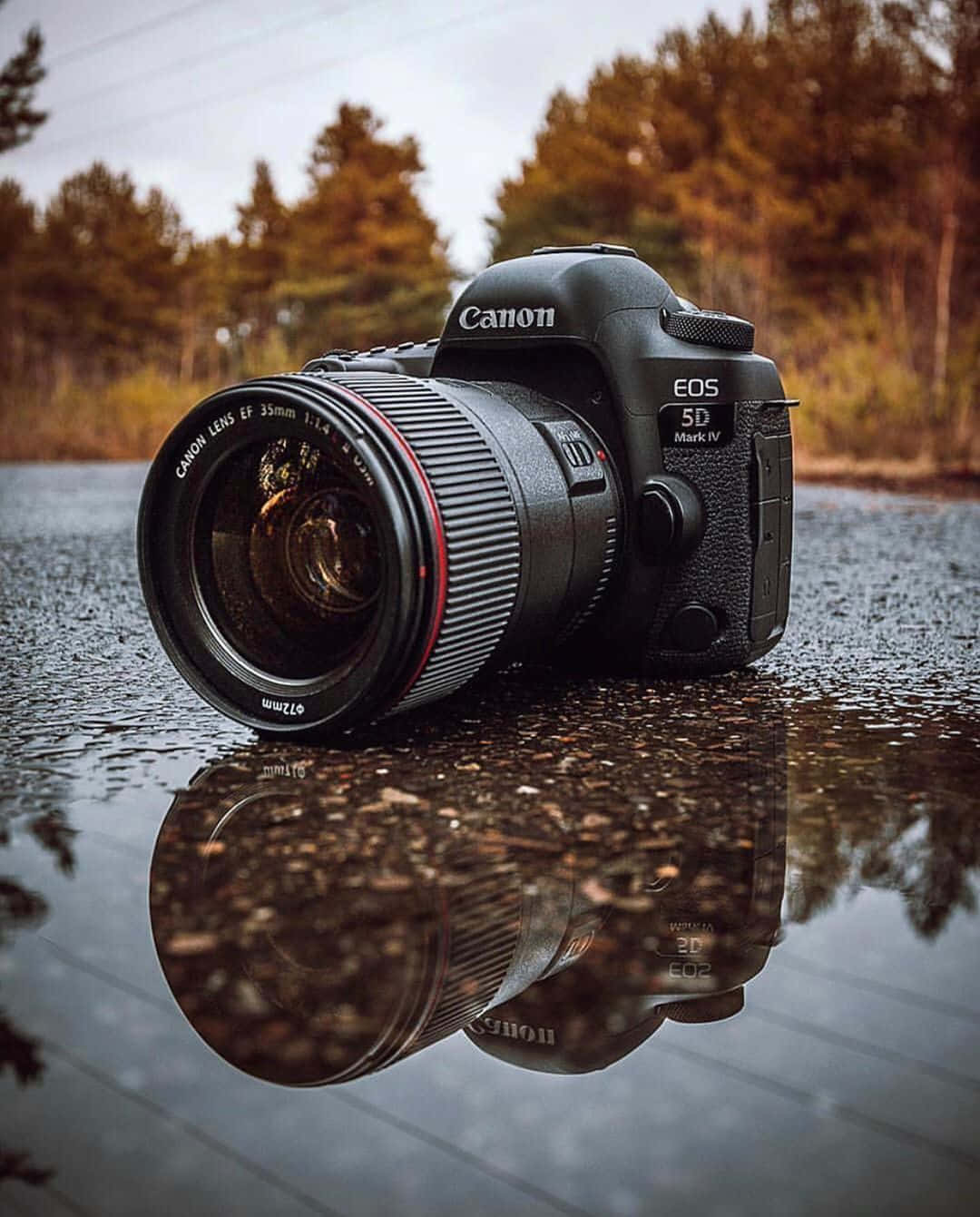 Take your photography to the next level with a DSLR Camera