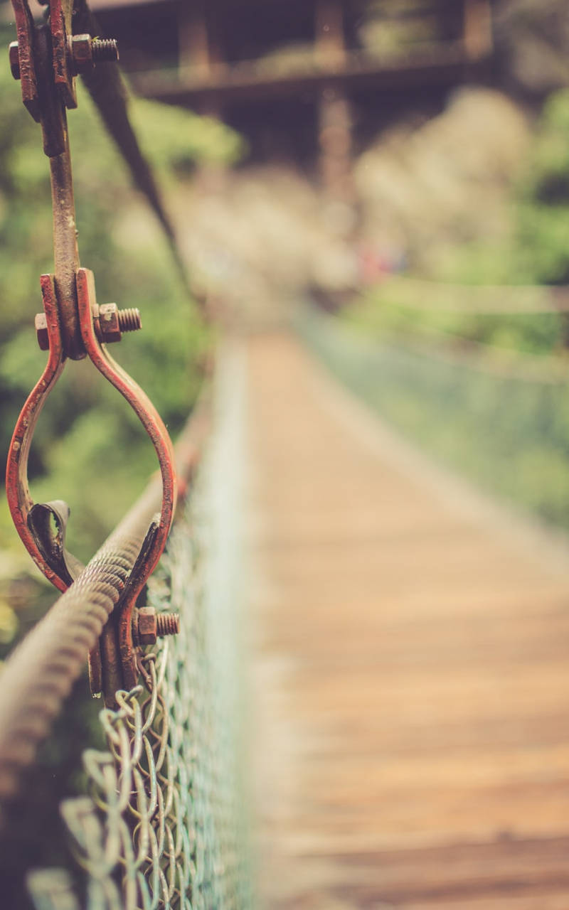 Desfoqueda Ponte Com Câmera Dslr Papel de Parede