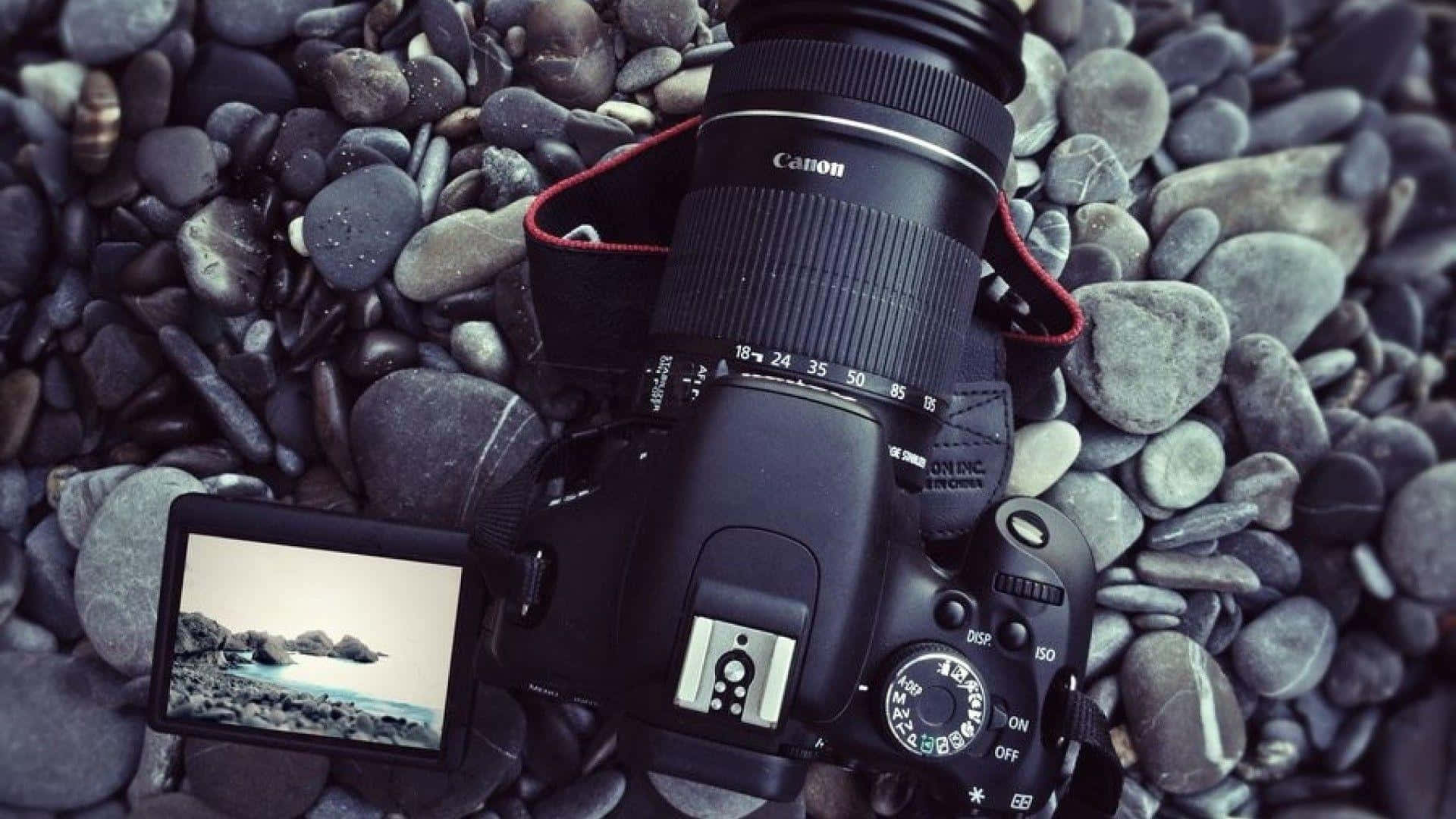 Capturing Perfect Moments with a DSLR Camera