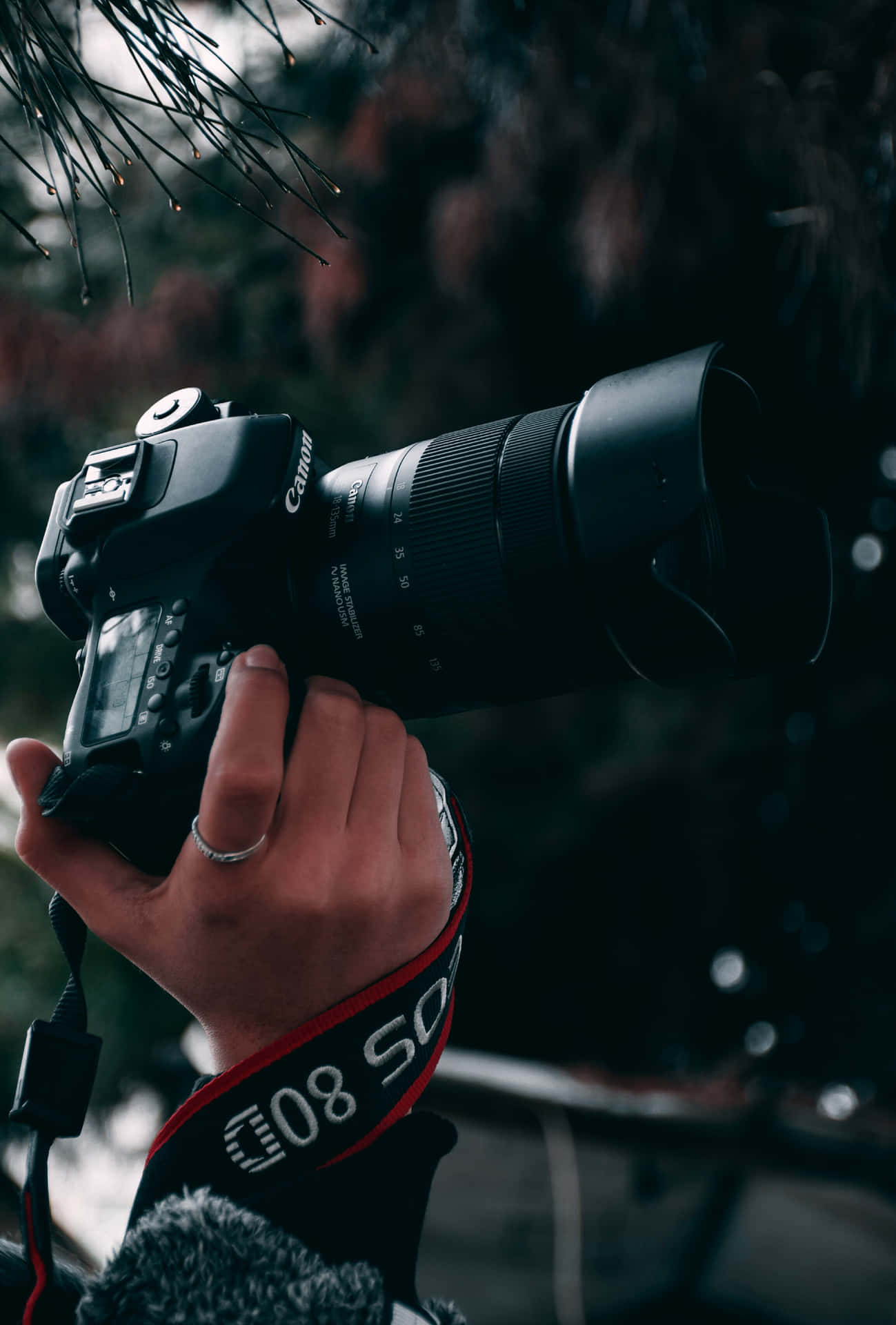 Capture Every Moment With a Professional-Grade DSLR Camera