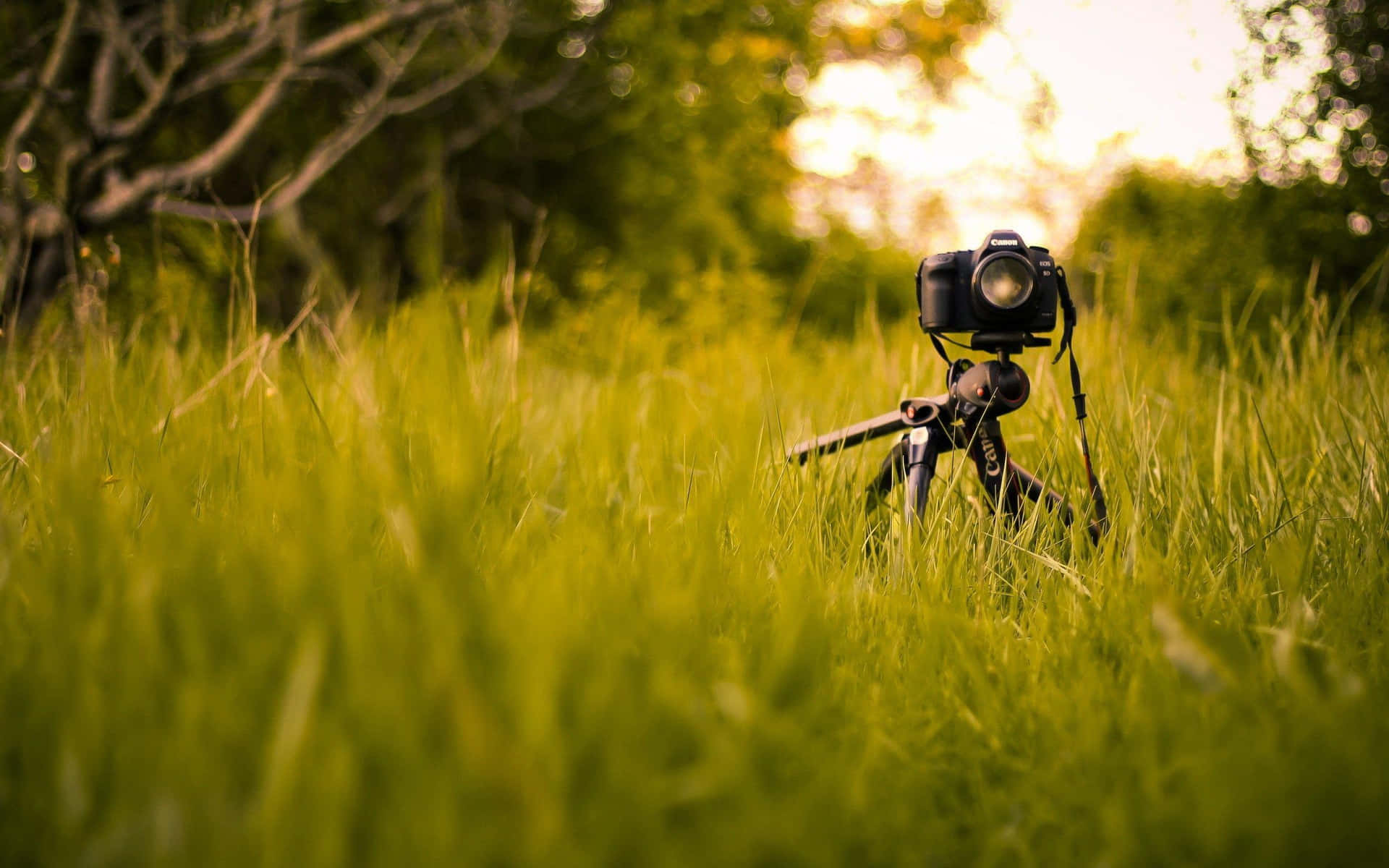 Shooting beautiful moments with a DSLR Camera
