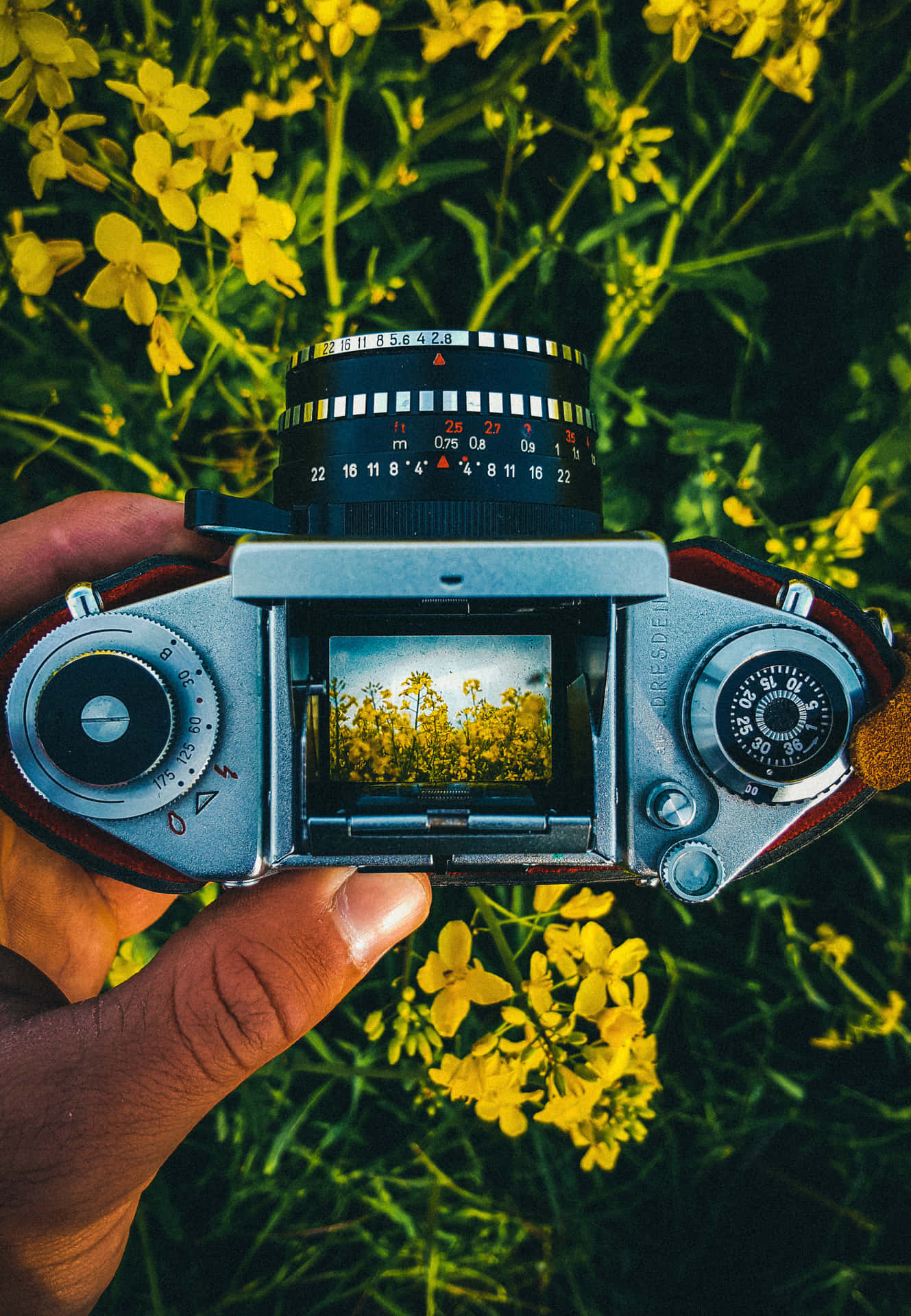 Enjoy taking high-quality shots with a simple Digital SLR Camera