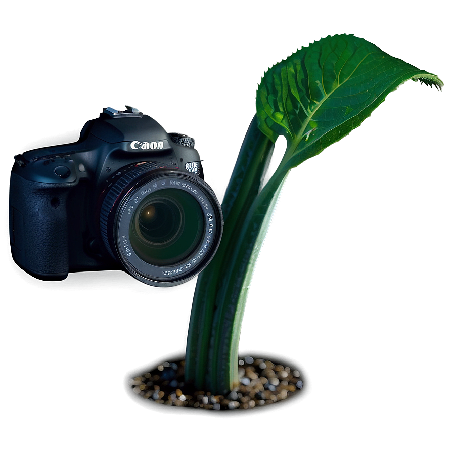 Dslr Camera For Wildlife Photography Png Mio PNG