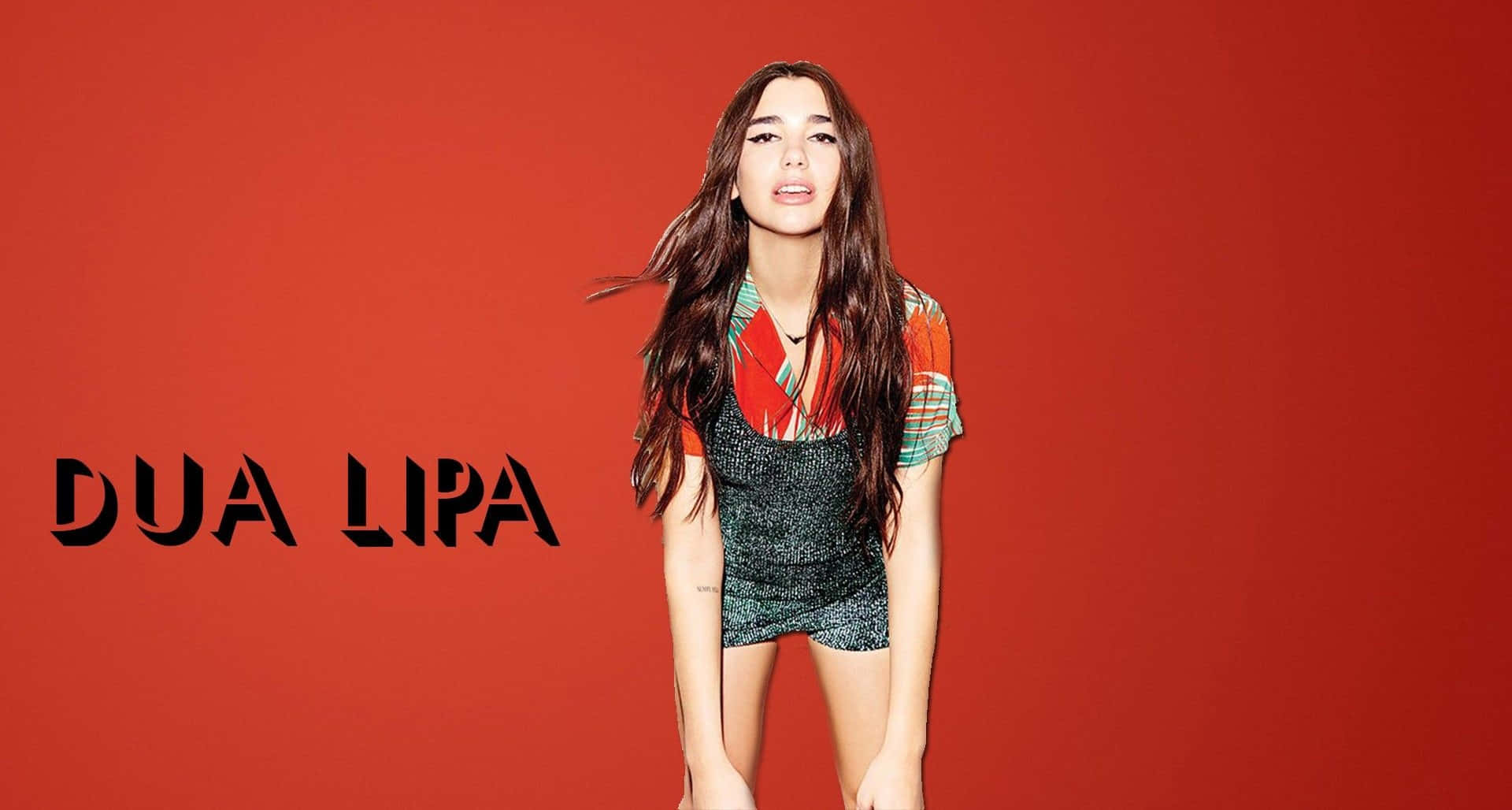 Caption: Dua Lipa striking a pose on stage in concert