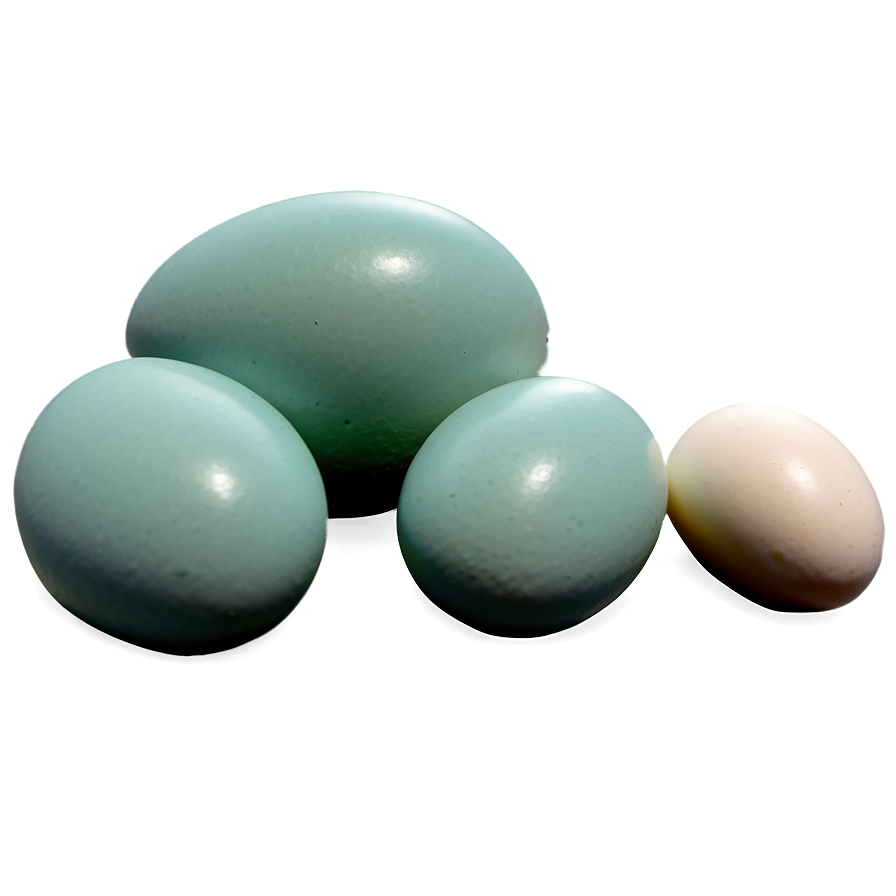 Download Duck Eggs Png 71 | Wallpapers.com