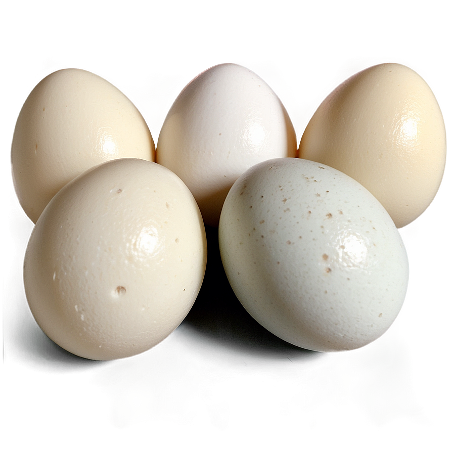 Duck Eggs Png 86 PNG