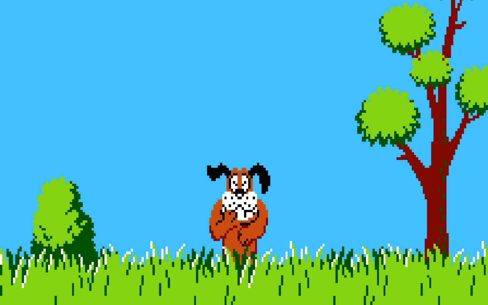 Duck Hunt Laughing Dog Wallpaper