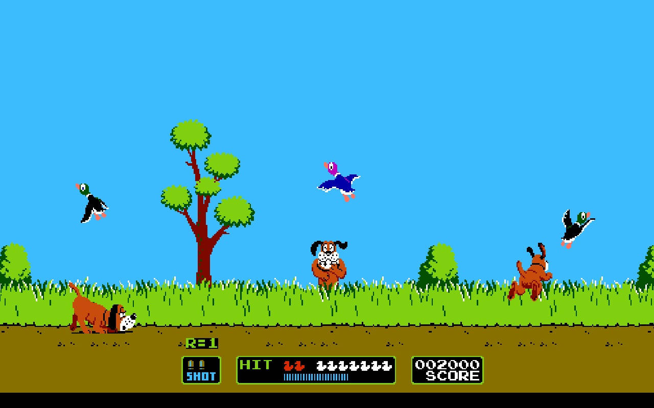 Duck Hunt Wide Shot Gameplay Wallpaper
