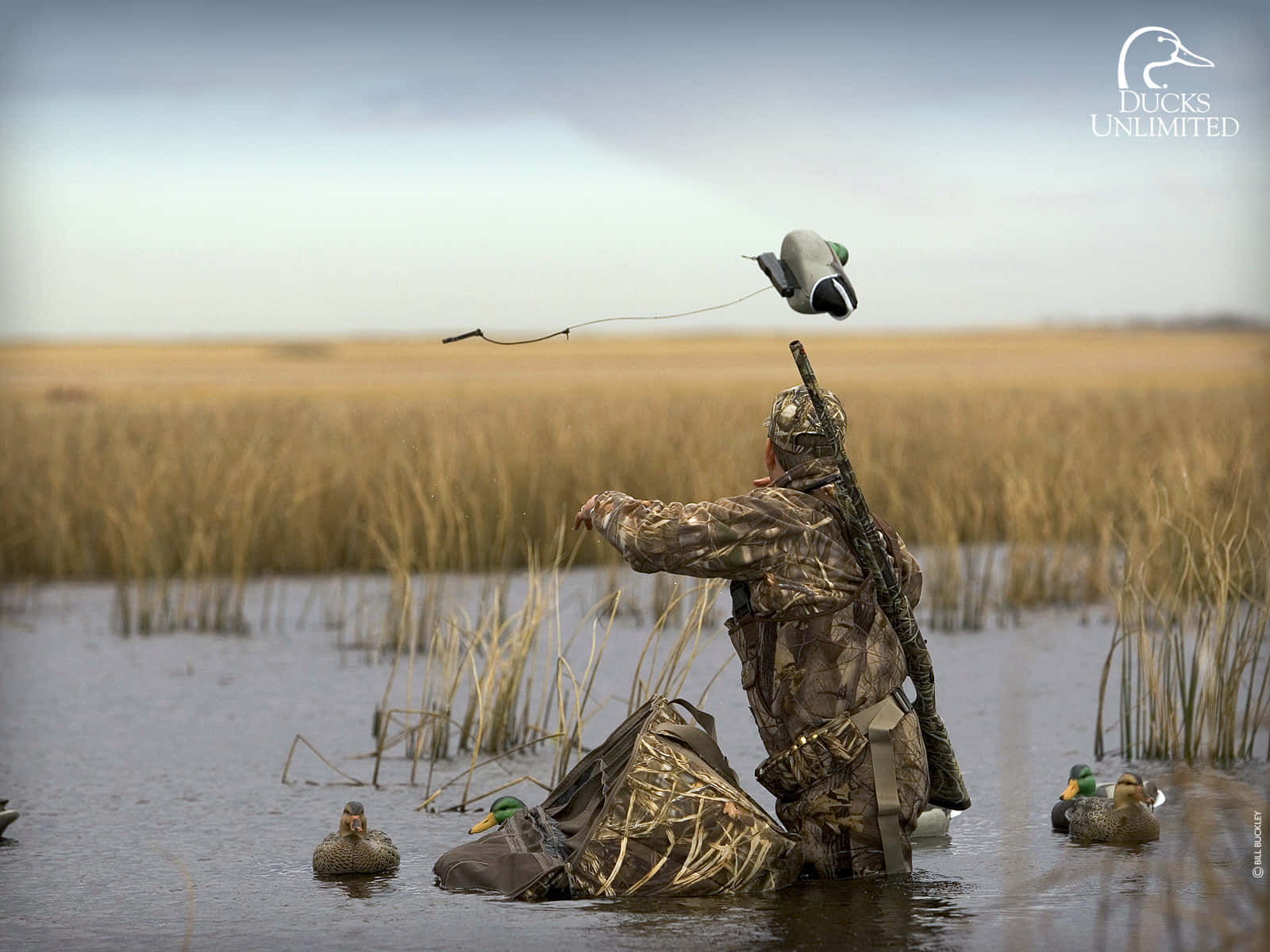Going Hunting - Duck Hunter with Gun and Headdress Wallpaper