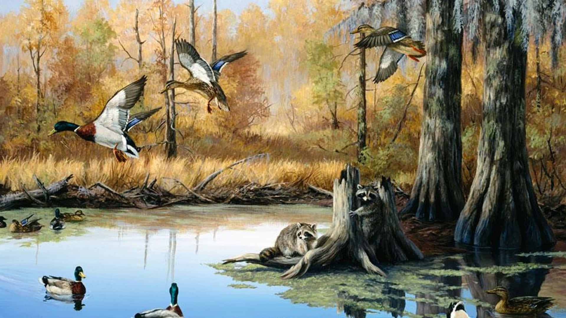 A beautiful outdoor scene of a duck hunting trip. Wallpaper