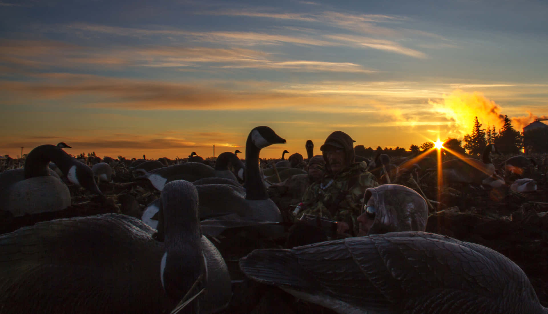 Warm Sunset Duck Hunting Desktop Wallpaper