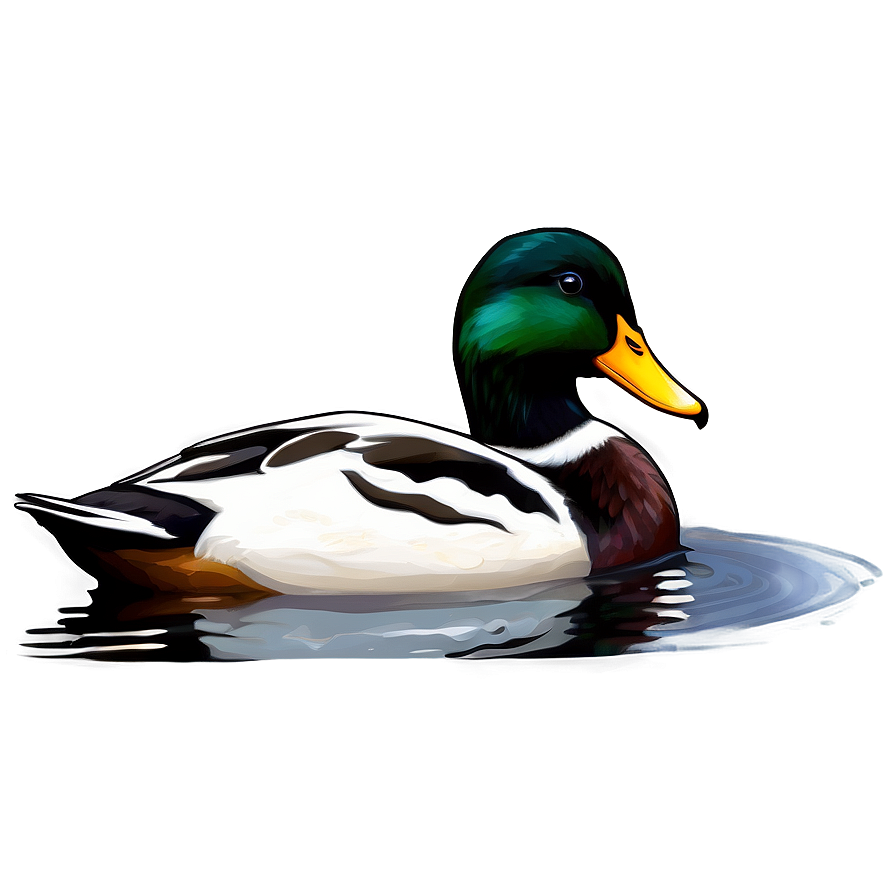 Duck In Nature Png 21 PNG