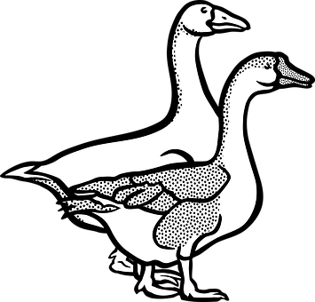 Duck Optical Illusion Graphic PNG