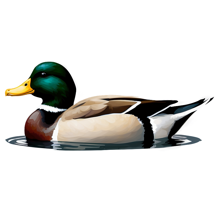 Duck Swimming Png Fqw PNG