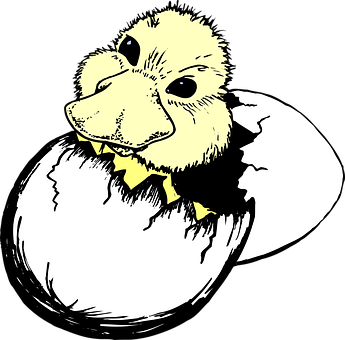 Duckling Hatching From Egg PNG