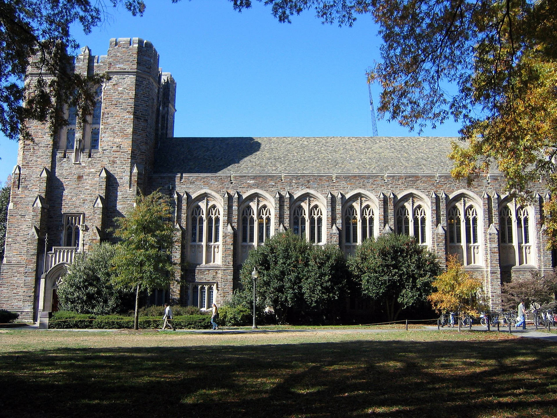 Dukeuniversity Libraries - Duke University Bibliotek. Wallpaper